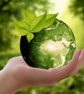 green economy investimenti
