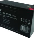 Batterie ricaricabili LiFePO4 Melchioni