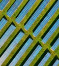 Alleanza fotovoltaico rinnovabili