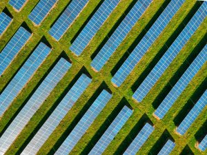 Alleanza fotovoltaico rinnovabili